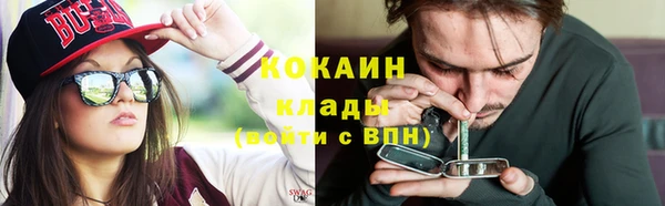 гашик Анжеро-Судженск