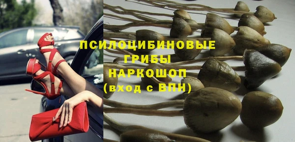 бошки Беломорск