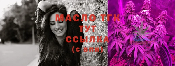 гашик Анжеро-Судженск